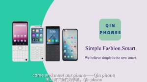 Qin Phones история компания