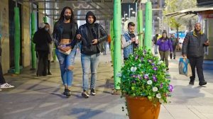 El Hombre Planta Ataca!!! 👻🌲 Bushman Prank