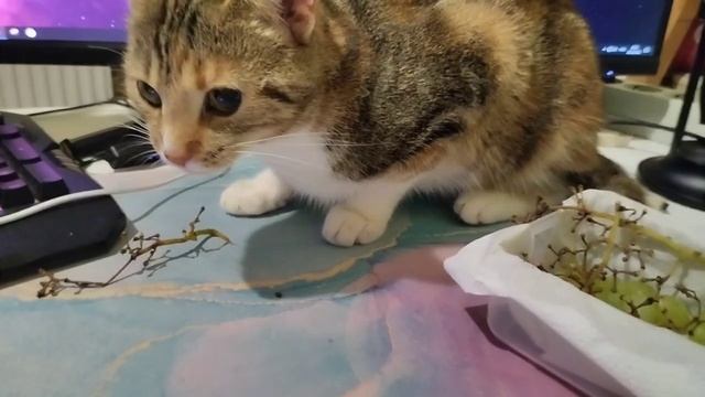 что то фигня что то фигня