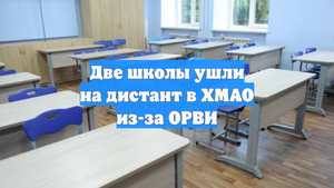 Две школы ушли на дистант в ХМАО из-за ОРВИ