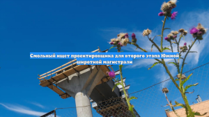 Смольный ищет проектировщика для второго этапа Южной широтной магистрали