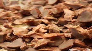 Желудки индейки