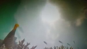 Танго танцуют двое. читает автор Богдан Бандура.