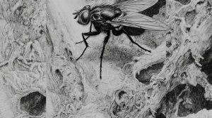 Безумный полет мухи от одной кучи дерьма к другой