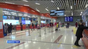 Жители Башкортостана застряли в московском аэропорту Шереметьево из-за введения плана «Ковер»