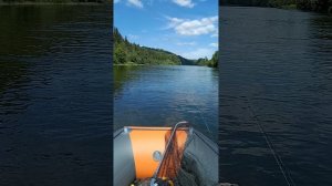 мотор Suzuki df6