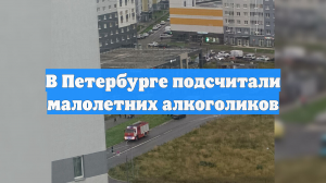 В Петербурге подсчитали малолетних алкоголиков
