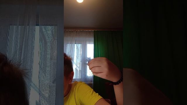 хы смотреть онлайн