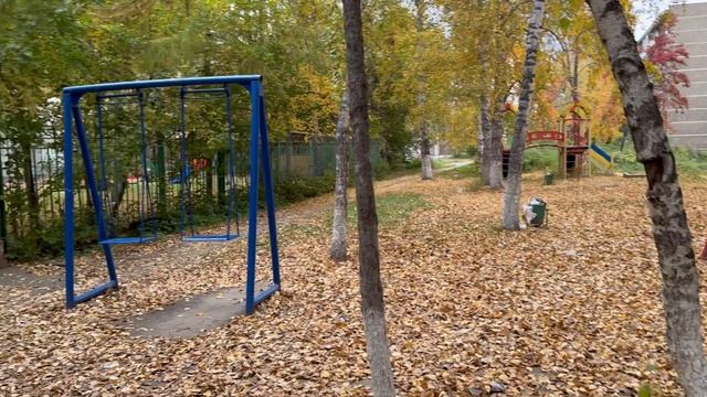 Обь. Золотая осень 2025 - 2 часть.