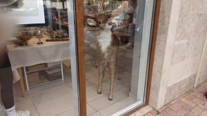 Геленджик. Октябрь 2024 года