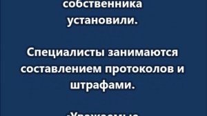 В Кисловодске табун из 50 лошадей отправили на штрафстоянку