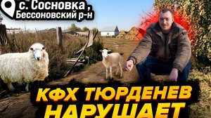 ПОЧЕМУ КФХ ТЮРДЕНЕВ СИСТЕМАТИЧЕСКИ НАРУШАЕТ ЗАКОН? // с. Сосновка, Бессоновский район