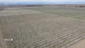 Прокуратура: порча земли предусматривает административную ответственность