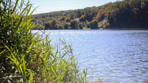 🌊 Где волны разбиваются о холмы меловые