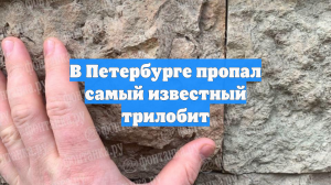 В Петербурге пропал самый известный трилобит