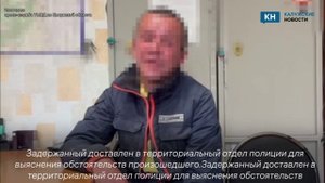 Калужская полиция задержала мужчину, толкнувшего пенсионерку на пешеходном переходе