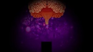 СКОЛЬКО ДЛИТСЯ ВЕЧНАЯ ЛЮБОВЬ