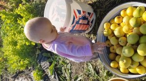 VID_20250916_155258.mp4