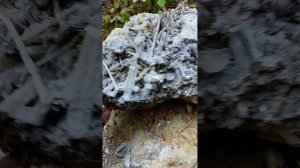 Из Пензы до Самары , водинское месторождение.mp4