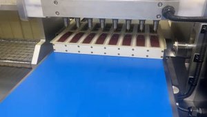 Мармеладоотливочная машина Мом-150. Отливка в силиконовые формы.