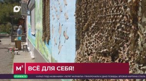 Квадратные метры / Благоустройство двора / 23.09.25