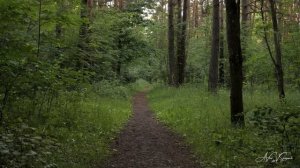 Жила-была принцесса. Авторская песня