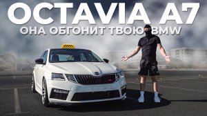 SKODA OCTAVIA A7: ТАКСИ ИЛИ ИСТРЕБИТЕЛЬ ? feat. Classicnose