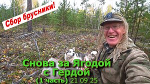 Снова за ягодой с Гердой (1 часть) 21 09 25
