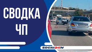 На Курортном проспекте рядом с цирком столкнулись сразу 3 автомобиля