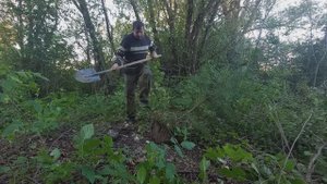 Сажаю лес в доме в деревне, продолжение!