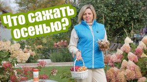 Подзимний посев без ошибок!