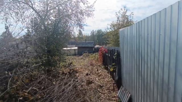 video5375286067844906516