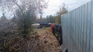 video5375286067844906516