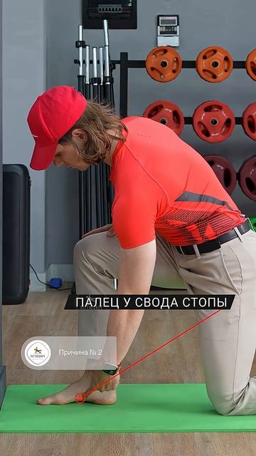 Почему болят колени _ тест смотреть онлайн