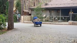 1000005521.mp4зоопарк