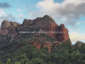 Внутренняя гармония рождается в тишине...