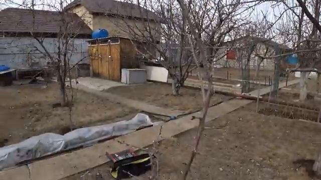 Как обрезать молодые деревья в саду смотреть онлайн