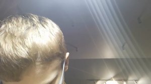 дегустация пчелиных сот!