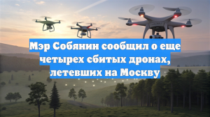 Мэр Собянин сообщил о еще четырех сбитых дронах, летевших на Москву