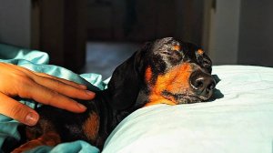 Кто-то пилит на работу, а у нас всегда суббота!