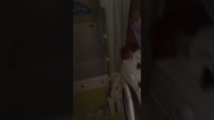 обзор на мою квартиру 😘