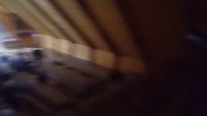 VID-20250923-WA0001.mp4