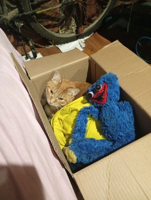 зайди пожалуйста