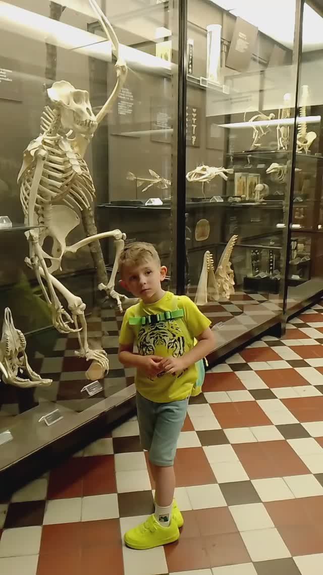 Зоологический музей 04.06.2024