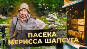 Всё в жизни ерунда, - кроме пчёл.