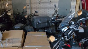 Отправка Гюрза М12 Донецк Ростовская обл. т89612934363 с 10.00 до 20.00