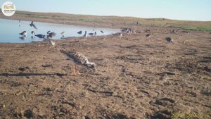 Приоткрывая заповедные двери… Степные оазисы с привкусом соли