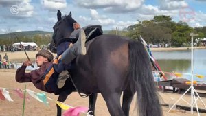🐴 В Уссурийске прошёл масштабный казачий фестиваль «Гуляй, поле»