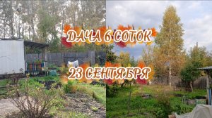 ДАЧА 6 СОТОК//ДАЧНЫЕ ДЕЛА НА 23 СЕНТЯБРЯ
