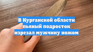 В Курганской области пьяный подросток изрезал мужчину ножом